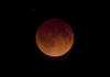 15 de abril | Luna. Un eclipse lunar provoca la primera “Luna de Sangre” del año.