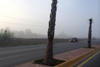 Ante la neblina, Torreón registró una temperatura mínima de 6 grados centígrados por la mañana.