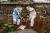 Pete Mulle captó a personal sanitario de un centro de atención a enfermos de ébola mientras ayudan a un enfermo en estado de delirio.