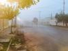 Distinas colonias de Torreón amanecieron entre la niebla. (Mario Hernández)