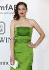 La actriz francesa Marion Cotillard eligió un sencillo vestido verde.