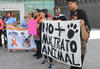 Ya son varias la manifestaciones que han realizado en contra del maltrato animal.