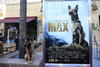 El actor Josh Wiggins y su compañero Max, protagonistas de esta película, posaron juntos ante los fotógrafos.