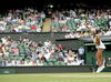 Serena Williams vino de atrás y mantuvo vivo el sueño de arrasar con los cuatro Grand Slams en fila.