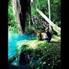 Compartió en Instagram su experiencia en Cenote Azul.