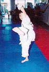 05082015 En la práctica del Taekwondo.