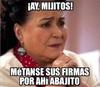 Los memes han arrasado a la hora de retuitearlos en Twitter o compartirlos en Facebook.