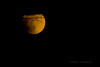 Laguneros pudieron apreciar el ecipse total de luna.