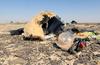 Según testigos oculares, el avión de la aerolínea rusa Kogalimavia (Metrojet), un Airbus A-321, ya ardía en llamas antes de chocar contra la tierra.