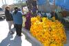 Los panteones municipales de Torreón volvieron a cobrar vida tras la visita de miles de personas que acudieron a llevar flores, a realizar labores de limpieza en las lápidas y a recordar con nostalgia, tristeza y alegría a todos aquellos que ya no están en el plano terrenal.