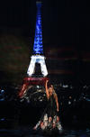 Celine Dion rindió homenaje a las víctimas de los recientes ataque en París en los American Music Awards interpretando el Hymne à L'Amour de Edith Piaf mientras algunos miembros del público lloraban.