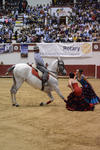 Laguneros acudieron al llamado en el Coliseo Centenario para admirar a los caballos.