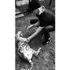 Otras imágenes dan cuenta de su visita a la reserva de felinos de la fundación Black Jaguar White Tiger, al sur del Distrito Federal.