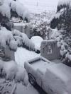 Usuarios de las redes sociales han compartido distintas fotos de la nevada.