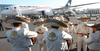 El Papa abordó el avión que lo lleva a su último destino en México.