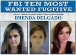 Recientemente, el FBI tomó la decisión de catalogar a Brenda Berenice, como una de las 10 personas más buscadas de los Estados Unidos de América, ofreciendo una recompensa de 100 mil dólares por ser considerada armada y peligrosa.