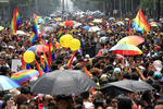 Bajo el lema "Todas las familias, todos los derechos ¡Ya!", la manifestación estuvo encabezada por varias familias homoparentales.