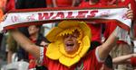 Los aficionados de Gales mostraron su alegría de llegar hasta la ronda de semifinales.