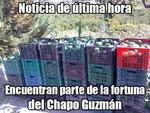 Rumores señalan que la fortuna de 'El Chapo' está basada en kilogramos de aguacate.