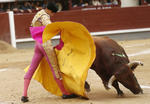 El torero Víctor Barrio falleció el día de hoy a los 29 años tras recibir una cornada en la Plaza de Toros de Teruel.