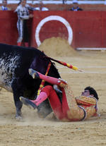 La muerte del torero causó impacto entre los amantes de la Fiesta brava a lo largo del mundo.