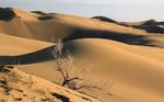 El desierto de Lut, o Dasht-e-Lut, se encuentra al sureste de Irán. Es uno de los muchos destinos que parecen de otro planeta. Durante el verano, es considerada una región abiótica, es decir, totalmente desprovista de vida.