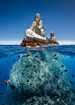 La Unesco decidió incluir en la lista del Patrimonio Mundial Natural el archipiélago de Revillagigedo, un pequeño grupo de islas en la costa mexicana del Océano Pacífico.