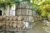 06082016 Esta vinícola, la más antigua de México, renueva sus etiquetas para seguir evolucionando.