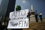 Los manifestantes exigen que Peña Nieto cancele la reunión que tendrá con el estadounidense, porque, dicen, "viene a ofendernos en suelo mexicano".