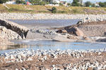 El agua se desplazó rápido hacia la zona urbana de Torreón.
