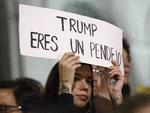 Expresiones latinas en las protestas contra Trump.