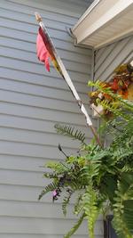 En Rochester, Nueva York, fue quemada una bandera gay colocada en el exterior de una casa.