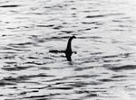 La famosa foto borrosa del Monstruo de Loch Ness, de 1934 forma parte de este proyecto.