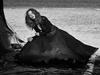 23112016 La actriz estadounidense Julianne Moore posando para el lente del fotógrafo Peter Lindbergh.