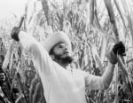 Tras el fracaso de Moncada estuvo en la cárcel durante casi dos años y luego se exilió a México: allí conoció al "Che" Guevara con quien volvió a Cuba a bordo del "Granma" con otros 82 expedicionarios para comenzar la lucha guerrillera de Sierra Maestra (1956-1959).