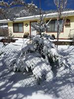 El estado de Durango comenzó a teñirse de blanco este fin de semana. ((UEPC))