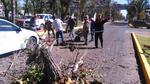 La caída de un árbol en un vehículo en bulevar Dolroes del Río y Belisario Domínguez que dejó solo daños materiales.