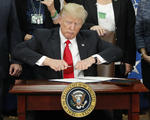 El presidente estadounidense Donald Trump firmó el decreto mediante el cual se ordena la construcción del muro en la frontera de Estados Unidos con México.