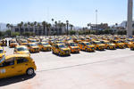 Fueron alrededor de 500 los taxis que se concentraron en la Plaza Mayor.