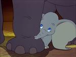 Dumbo es un filme que ha sido acusado en diversas ocasiones de mostrar la violencia animal, asimismo algunos grupos dicen que la película muestra diversas escenas psicodélicas que no pudo haber sido hecha más que bajo los efectos de alguna droga.
