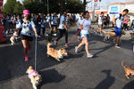 200 corredores acompañados de sus mascotas agotaron los números.