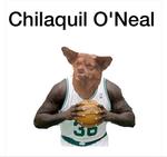 Chilaquil es bueno en toda actividad que practica., Chilaquil, el perro más gracioso del internet