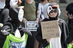 Otros activistas de disfrazados de pingüinos protestan contra la decisión del Gobierno estadounidense de salir del acuerdo.