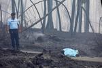 El balance de víctimas del incendio que asuela desde este sábado el centro de Portugal asciende a 62 muertos y 57 heridos.