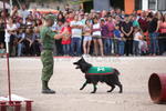 También se realizó la presentación del entrenamiento de Binomios Caninos