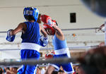 Se desarrollo un torneo con las principales promesas del boxeo de Durango.