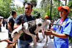 Diferentes asociaciones caninas se dieron cita en el Parque México, en la Colonia Condesa, donde se puso en marcha la jornada de reconocimiento de mascotas extraviadas a raíz del sismo de 7.1 grados ocurrido el 19 de septiembre pasado.