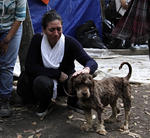 La tarde de este domingo al lugar donde se albergan aquellas mascotas afectadas por los sismos recientemente registrados en México.