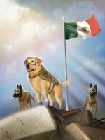 "Evil", "Frida" y "Eco" son los tres ejemplares caninos que forman parte del Equipo de Búsqueda y Rescate de la Secretaría de Marina-Armada de México.