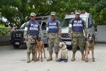 "Evil", "Frida" y "Eco" son los tres ejemplares caninos que forman parte del Equipo de Búsqueda y Rescate de la Secretaría de Marina-Armada de México.